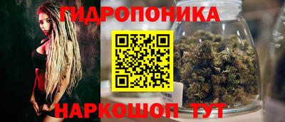 стаф Моздок