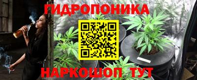 Альфа ПВП Можга