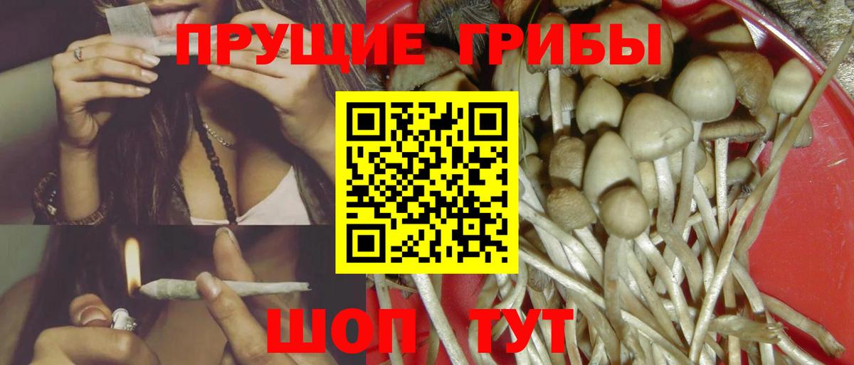 Псилоцибиновые грибы Cubensis Владивосток